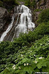 Rasberry waterfall 062811 118