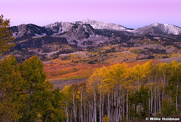 Empirepass Autumn Dusting 100114 3