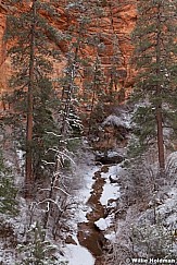 Zion Snow Rock 031812 254