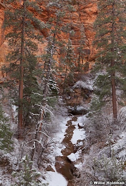 Zion Snow Rock 031812 254
