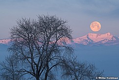 Frosty Twin Peaks 123020 7192 2