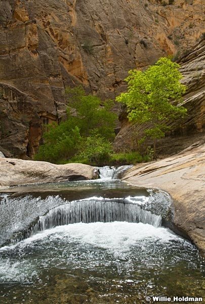 Death Hollow Waterfall 050524 7774 2