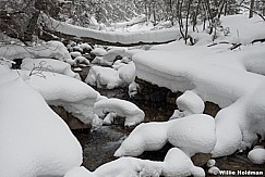 Winter Creek 022513 00757