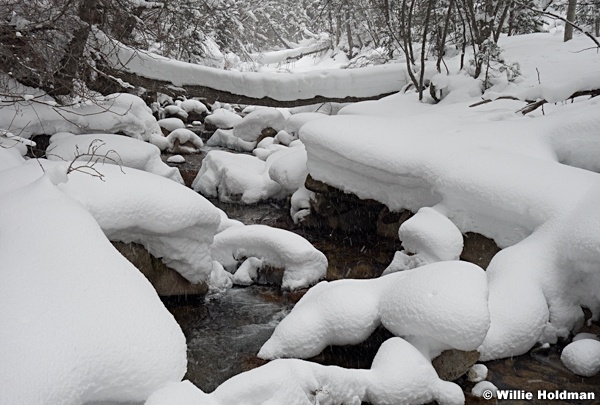 Winter Creek 022513 00757