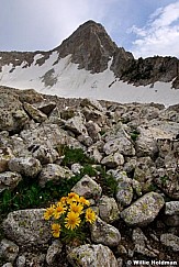 D06300649