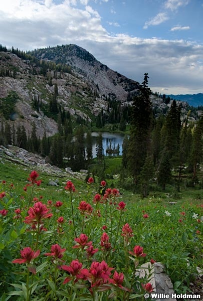 pioneerpeak080910