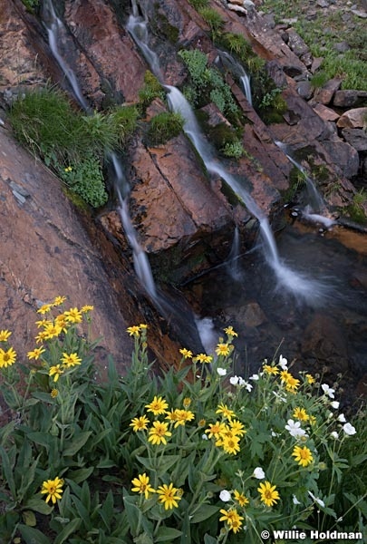Tripple Waterfall Wildflowers 082419 44158 2