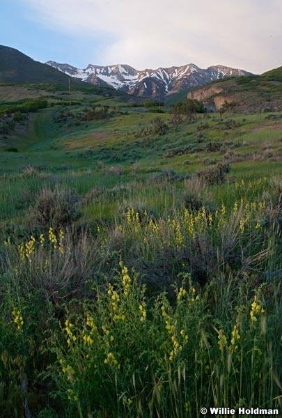 Timpanogos060308 26869