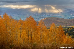 Heber Valley Orange Aspens F093025 9789 3