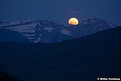 Full Moon Timpanotogs 060412 351