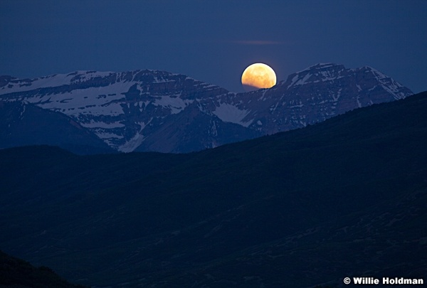 Full Moon Timpanotogs 060412 351