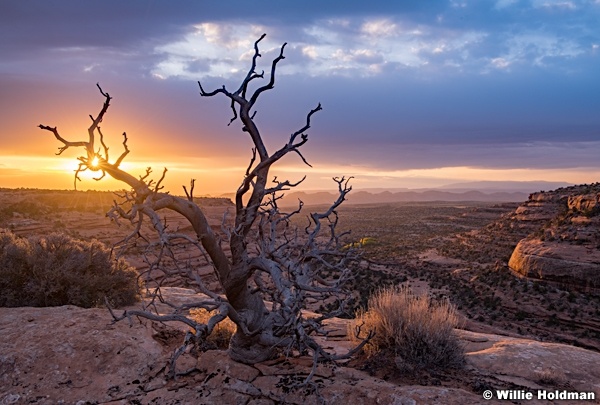 Cedar Mesa Sunrise 101819 9450