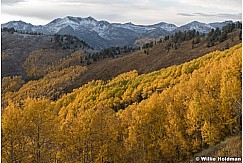 Wasatch Yellow Trail 092921