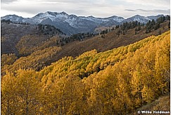 Wasatch Yellow Trail 092921