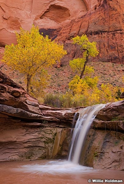 Coyote Gulch Falls 110416 0644 3