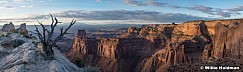 Canyonlands Tree Pano 0322 copy