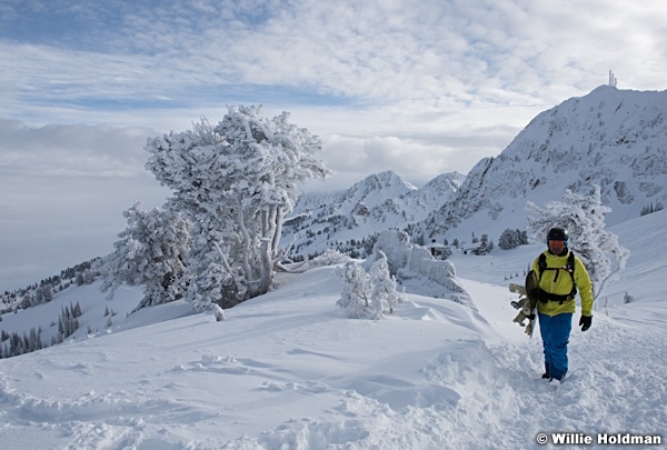 Frosty Pines Snowbasin 011217 0459