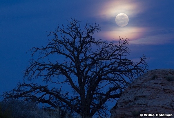 Full Moon Canyonlands 032613 27