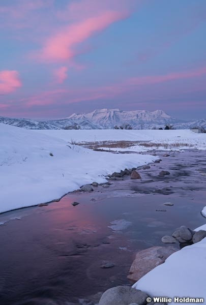 Lake Creek Pinks 013120 3297