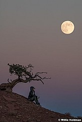 Full Moon Woman 112623 8203 F