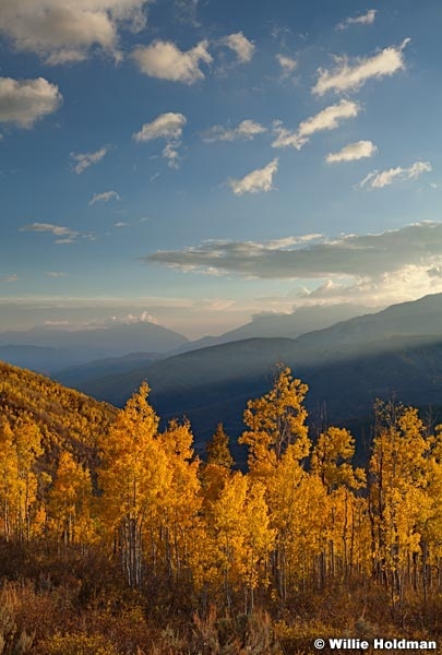 Goldenaspens101810 5694