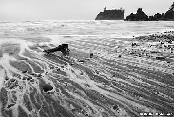 Ruby Beach BW 102816 8120