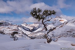 Lone Ponderosa Zion Winter 020719 5758 3