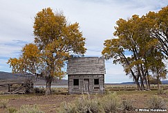 Abandon House 101112 68