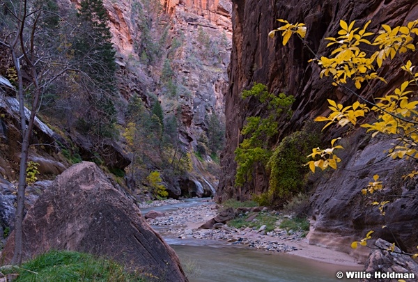 Hiking Zion Narrows 110613 0253