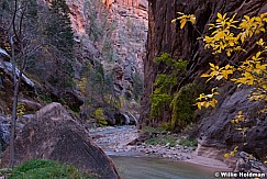 Hiking Zion Narrows 110613 0253