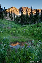 albionbasinreflection072310