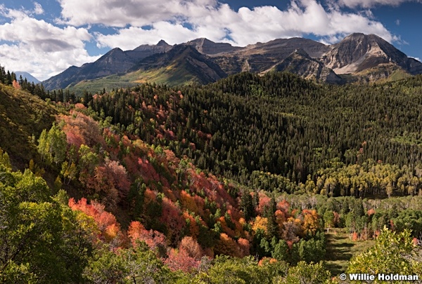 Timpanogos Autumn Spender 092313