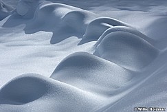 Snow Humps Winter 011323 1574