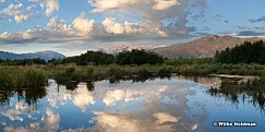 Reflection Pond Timp 082812