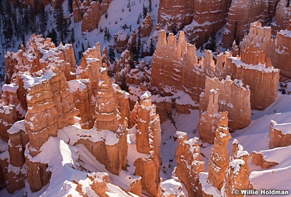 Bryce Canyon Inspiration 121013 3404