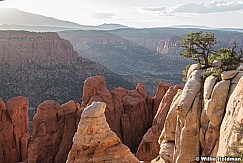 Boulder Mountain Red Rock 070420 0519