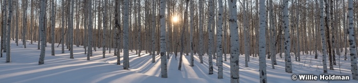 New Heavenly Warm Aspens Wasatch Back 100421 9356