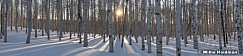 New Heavenly Warm Aspens Wasatch Back 100421 9356