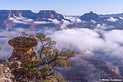Grand Canyon Clouds 013115 6980