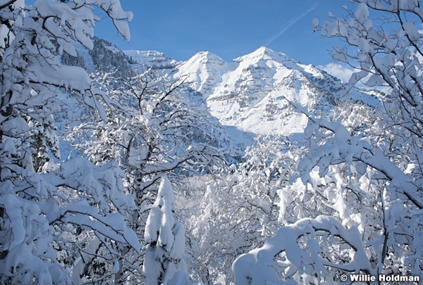 Gobs Of Snow 010723 1011 2