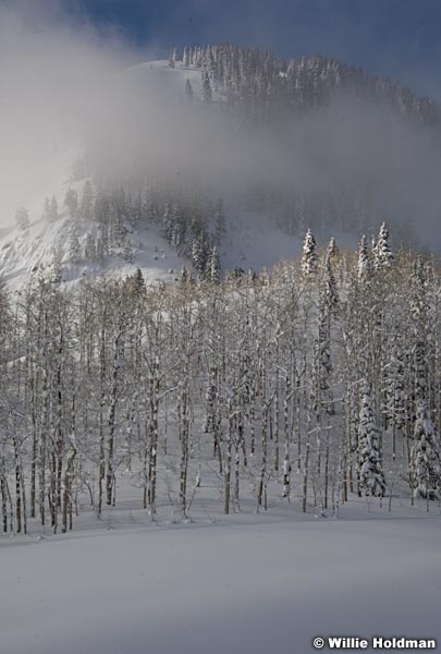 wintersfrost011409 11057