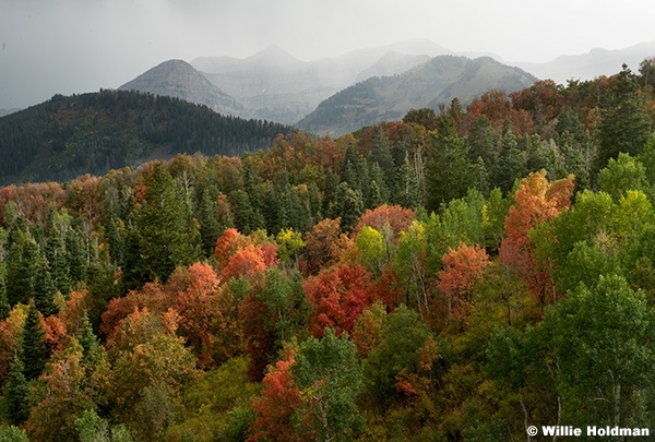 Autumn colors Passing Storm 091325 5283