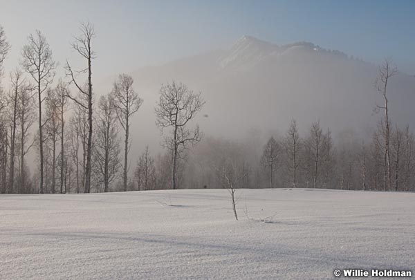 polelinepass012810 0403