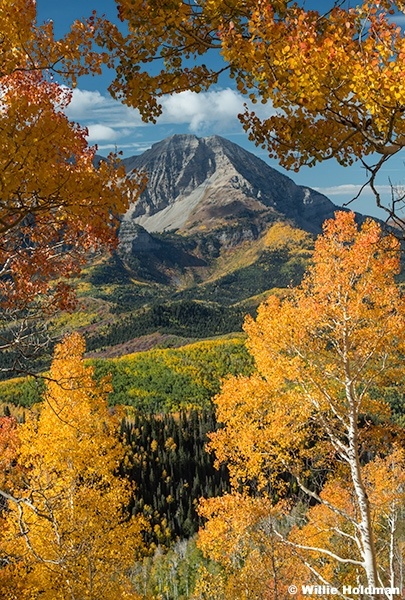 Orange Aspens Framing Timpanogos 092925 9012