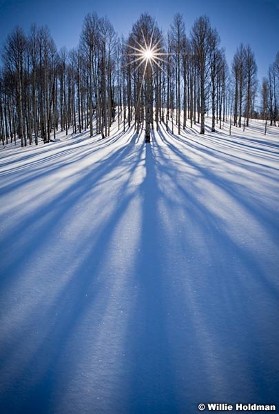 Aspensunmeadow012011 928