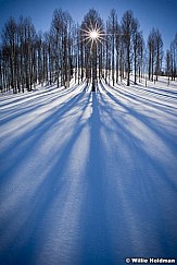 Aspensunmeadow012011 928