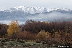 Mill Peak Soft Autumn 102421 8747