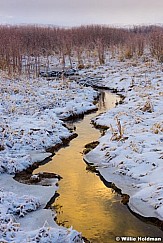 Midway Ice Stream 121116 6860 5