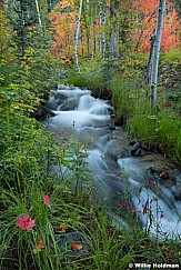 Snakecreekstreammerge092111 71