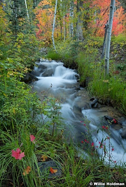 Snakecreekstreammerge092111 71